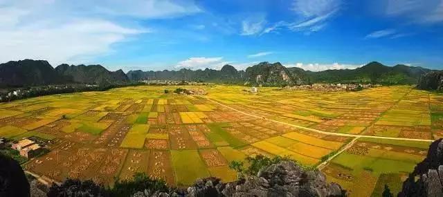 中國(guó)經(jīng)濟(jì)體制改革基金會(huì)全國(guó)第一！中國(guó)改革熱度第三方評(píng)估出爐，云浮宣傳系數(shù)在全國(guó)343個(gè)城市居首位                             