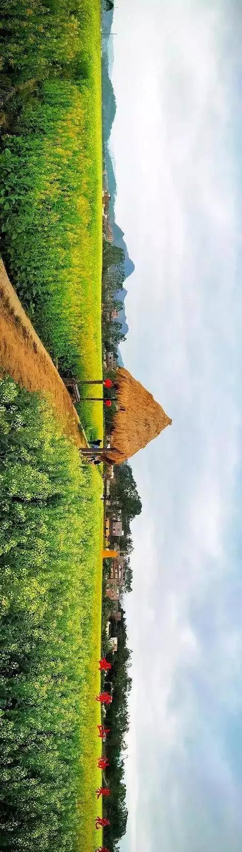 中國(guó)經(jīng)濟(jì)體制改革基金會(huì)全國(guó)第一！中國(guó)改革熱度第三方評(píng)估出爐，云浮宣傳系數(shù)在全國(guó)343個(gè)城市居首位                             